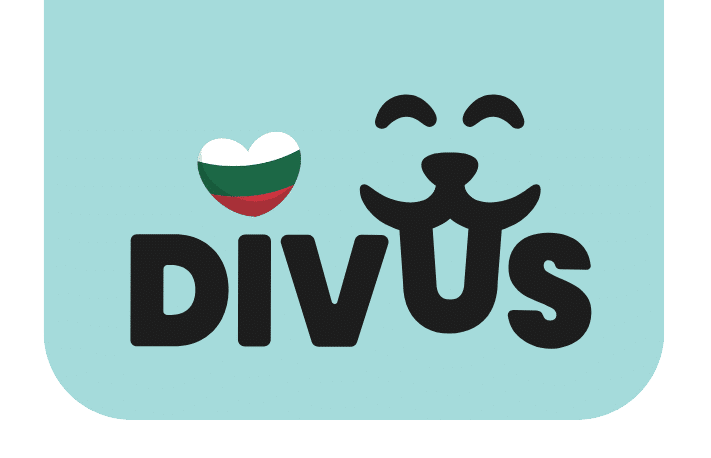 Лого DIVUS Foods